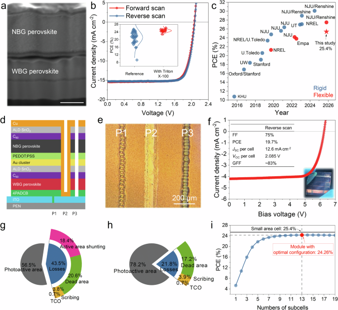 Fig. 5: Flexible all-perovskite tandem solar cells (TSCs) and mini-modules.
