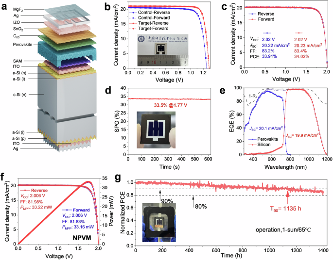 Fig. 4: 1 cm2 semi-transparent single junction and perovskite-silicon tandem solar cells performance.