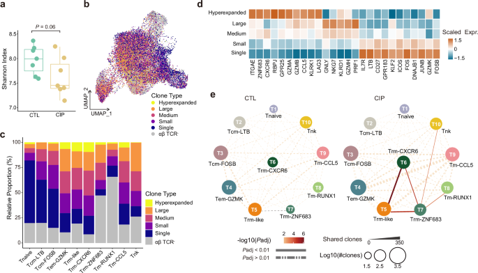Fig. 3: TCR repertoire analysis of CIP patients.