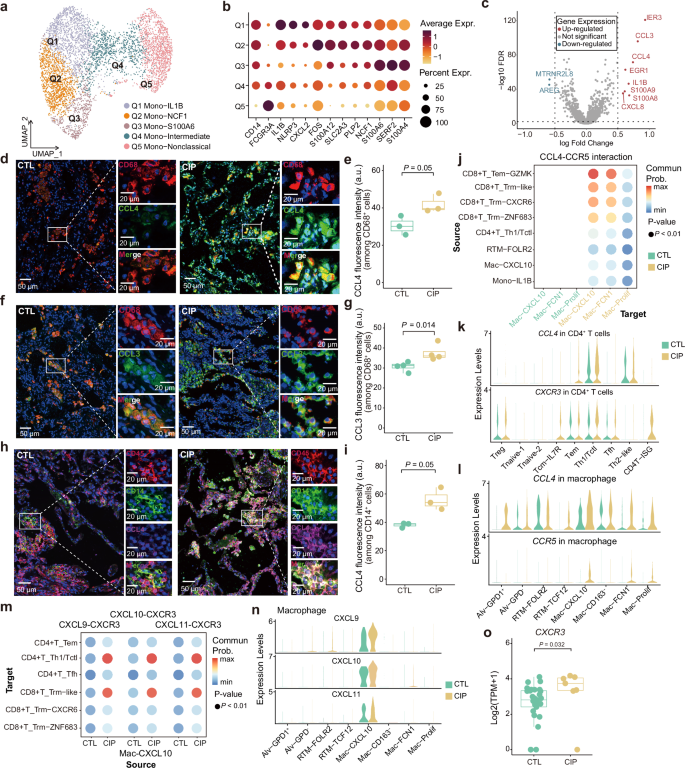 Fig. 6: Cell-cell interaction between myeloid and lymphoid cells.