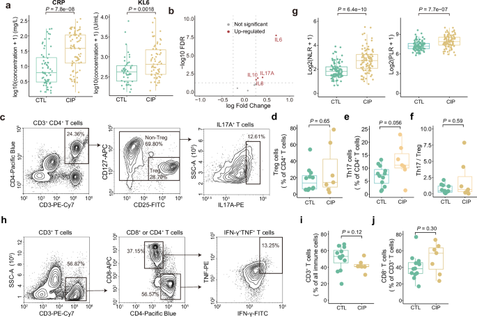 Fig. 8: Analysis of circulating cells and proteins in CIP patients.