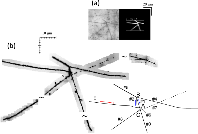 Fig. 1: Detection of the double-Λ hypernuclear event using machine learning.