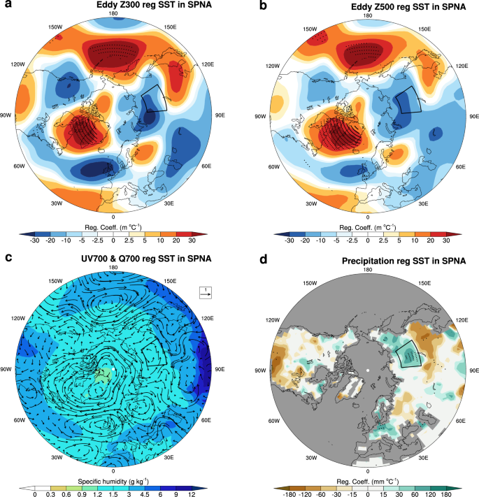 Fig. 5: Physical links between subpolar North Atlantic sea surface temperature and Eastern Siberian fire-season precipitation.