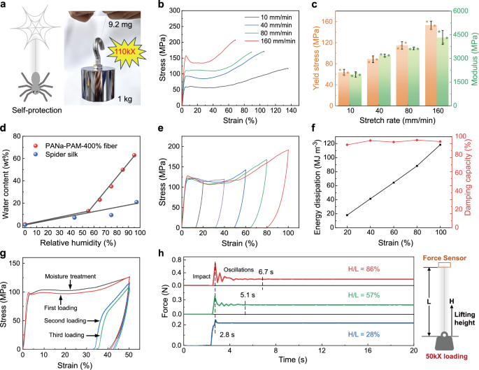 Fig. 4: Spider silk-like loading bearing, moisture sensitivity, damping-yet-elastic properties of PANa-PAM-400% fibers.