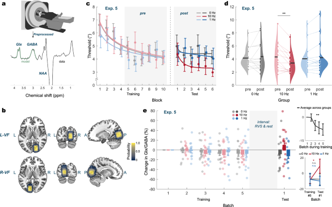 Fig. 3: Experiment 5: 10-Hz RVS increases neural excitation in the visual cortex.