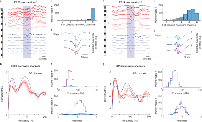 Fig. 5: Ripples are coupled on macrocontacts and microwires.