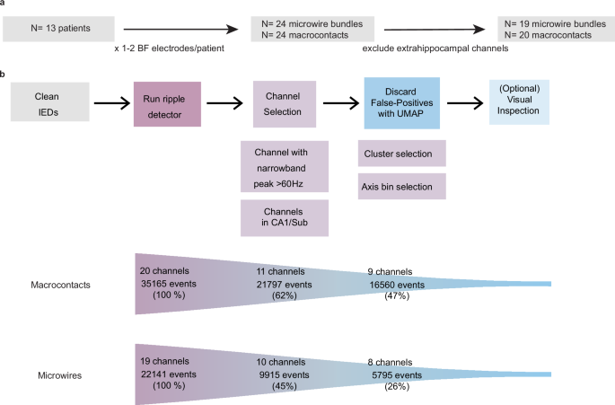 Fig. 7: Human ripple detection pipeline.