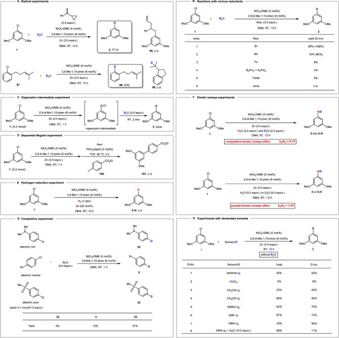 Fig. 6: Mechanistic experiments.