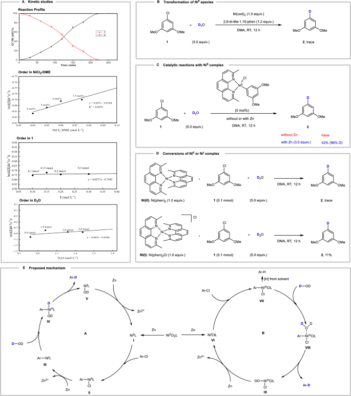 Fig. 7: Intermediates studies and proposed catalytic cycle.