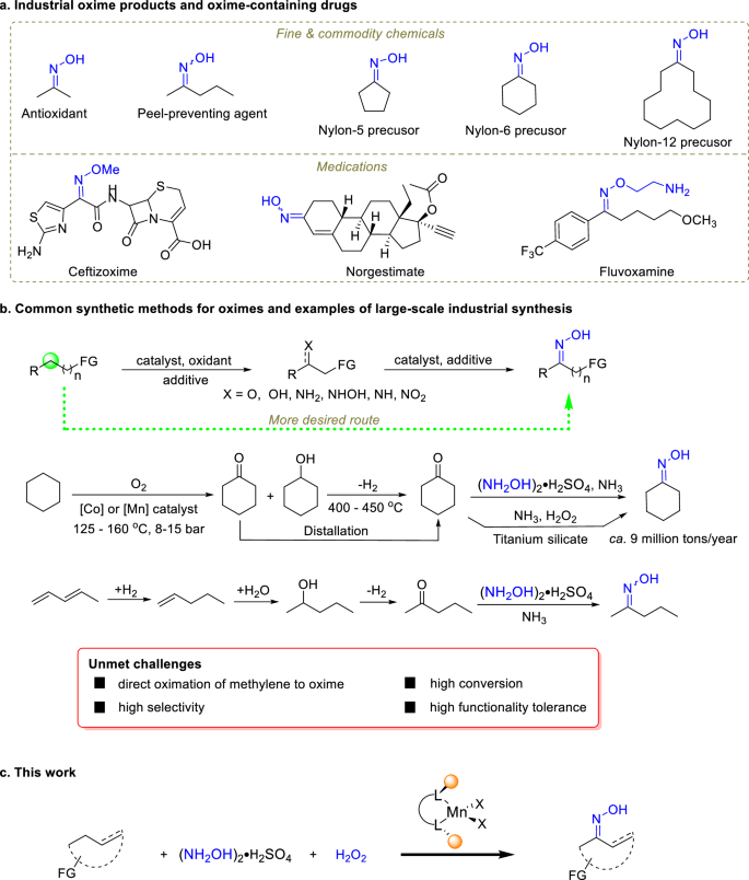 Fig. 1: Examples of industrial oxime products and their synthesis with established and new methods.