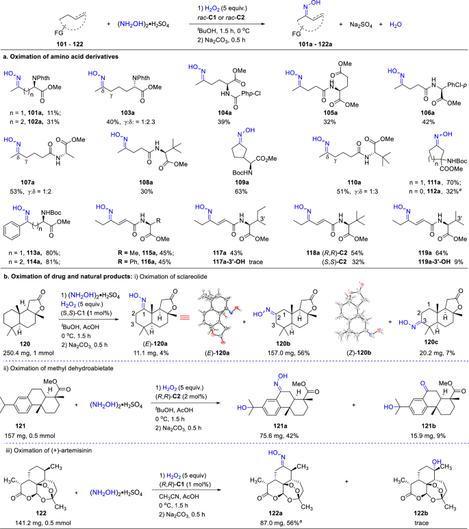 Fig. 5: Oximation of multifunctional molecules.