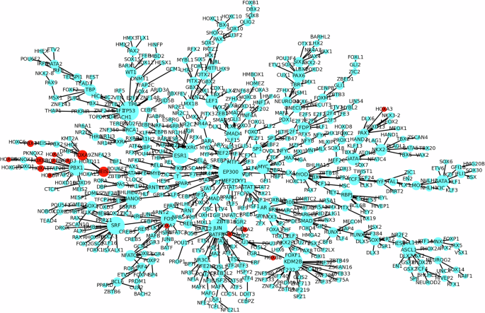 Fig. 7: Maximal spanning tree of the relevant genes from the gene expression data.