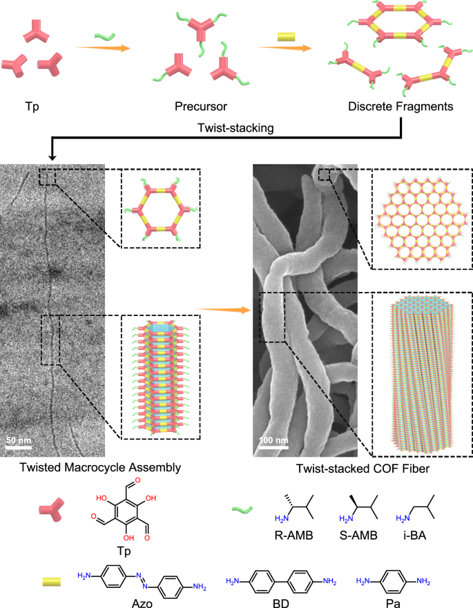 Fig. 1: Schematic diagram of modulator-assisted synthesis of t-COFs.