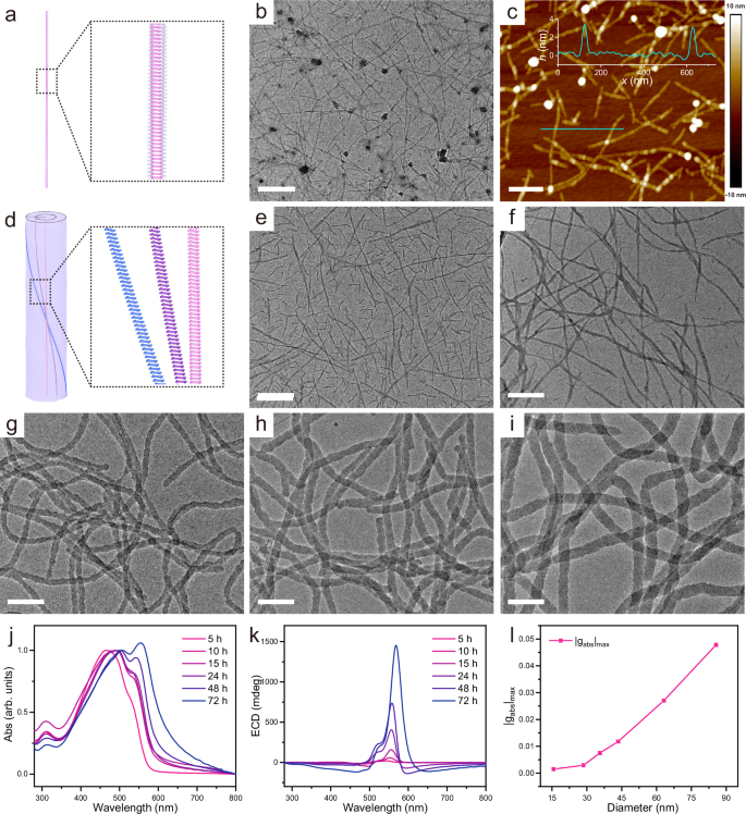Fig. 5: Monitoring the growth process of t-TpAzo-R-AMB.