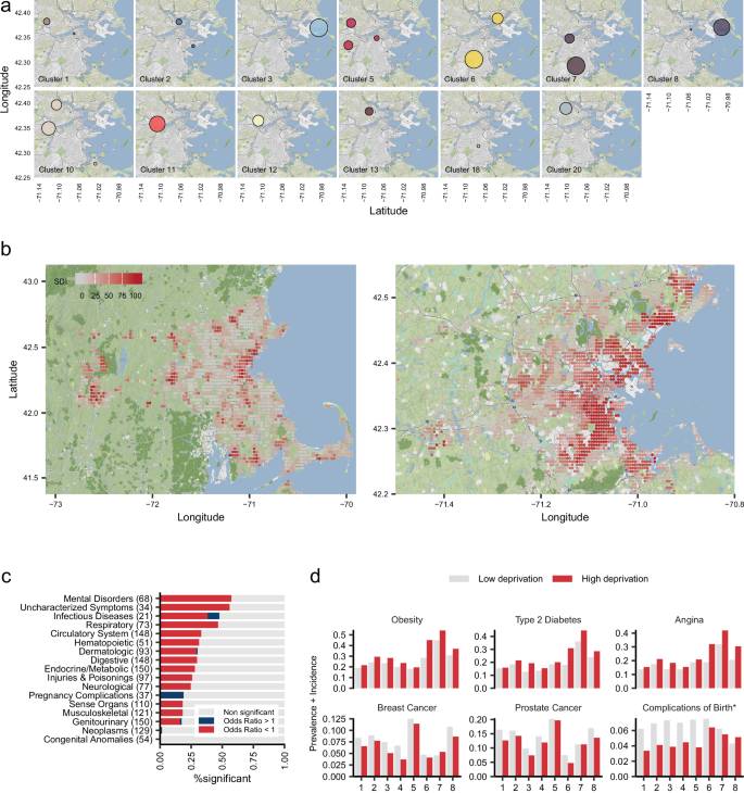 Fig. 3: Geospatial distribution, socioeconomic status, and disease risks.