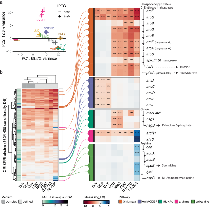 Fig. 1: Genome-wide fitness profiles by CRISPRi-seq.