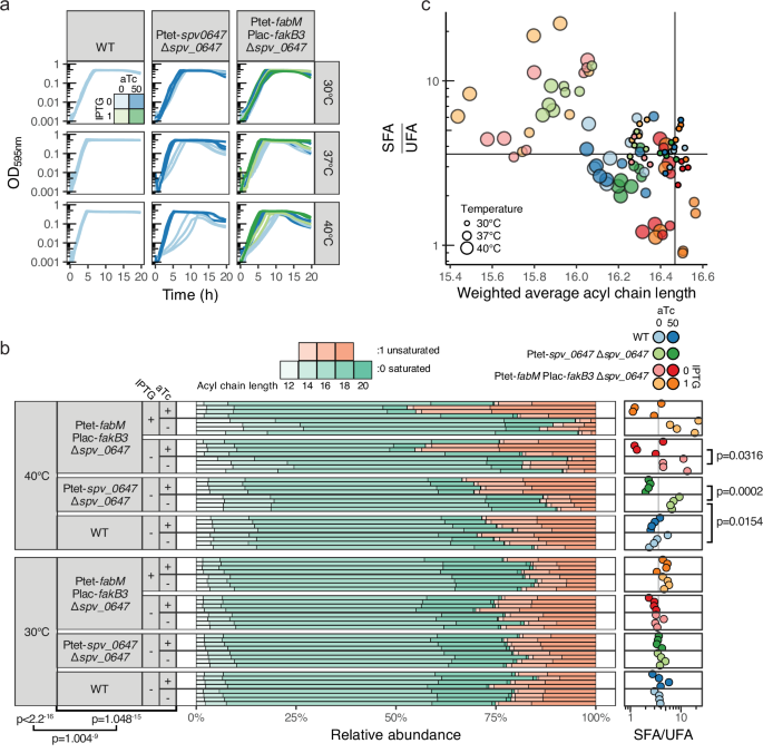 Fig. 4: fasR (spv_0647) affects heat resistance by modulating membrane composition.