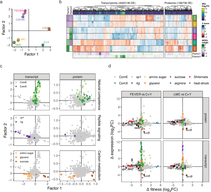 Fig. 5: Major differential expression patterns and orthogonality with fitness profiles.