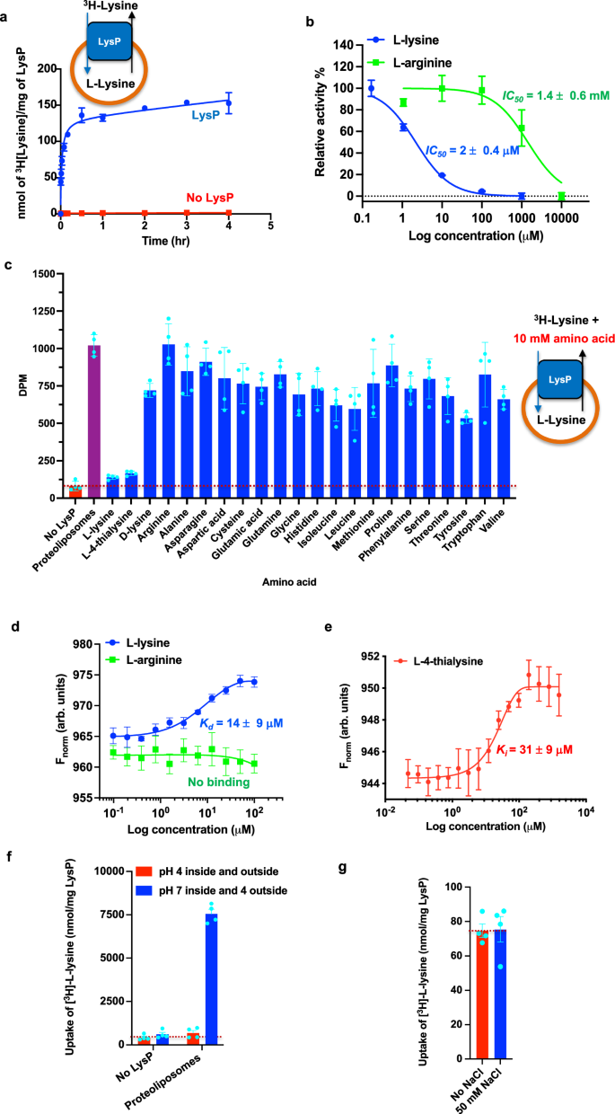 Fig. 2: Functional characterization of LysP.