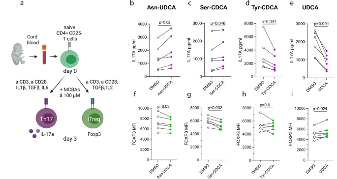 Fig. 7: MCBAs modulate Th17 and Treg cell differentiation.