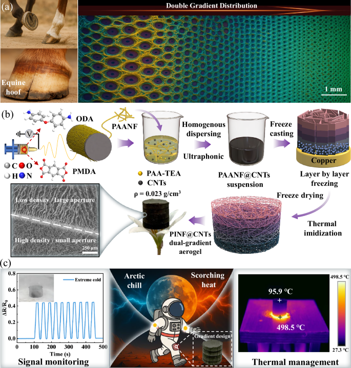 Fig. 1: Biomimetic design and applications of the dual-gradient nanofiber aerogel.
