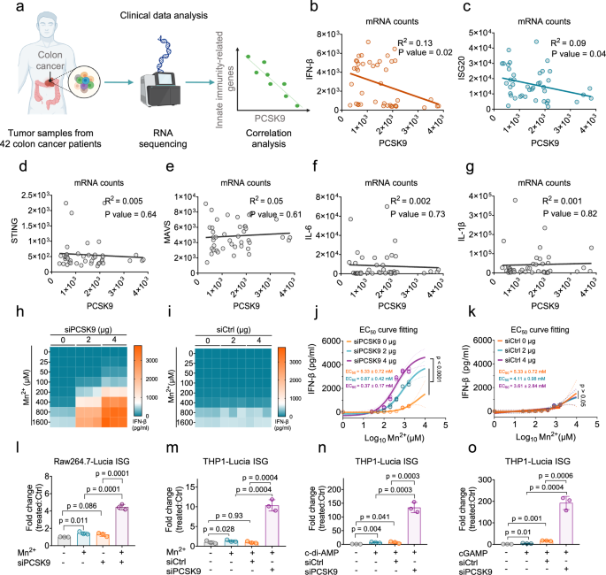 Fig. 1: PCSK9 silencing enhances cGAS-STING activation.