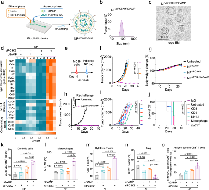 Fig. 4: Engineered NP co-delivering PCSK9 siRNA and STING agonists for safe and effective cancer immunotherapy.