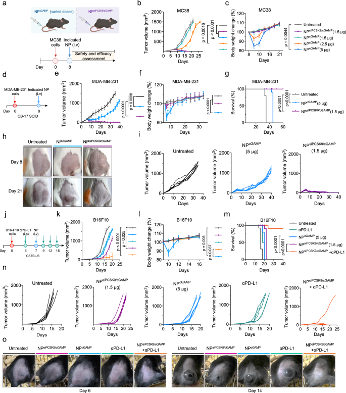 Fig. 5: Reshaping the spatiotemporal activation of STING for safe and effective cancer immunotherapy.
