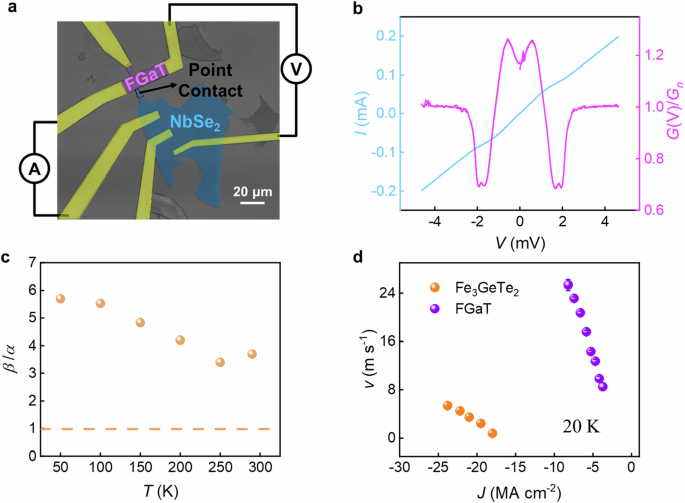 Fig. 2: Determination of spin polarization, P, and calculation of the ratio, β/α.