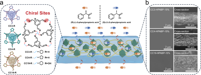 Fig. 1: A representation of POC-based mixed matrix membranes for the selective transport of R-2-phenylpropionic acid molecules from a racemic mixture.