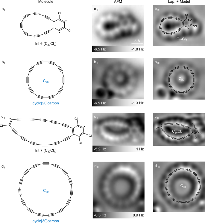 Fig. 4: Other reaction pathways towards cyclo[20]carbon and cyclo[30]carbon.