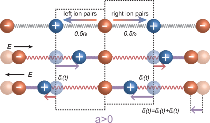Fig. 1: Schematics of the dynamics of the anharmonic oscillator pairs under electric field.