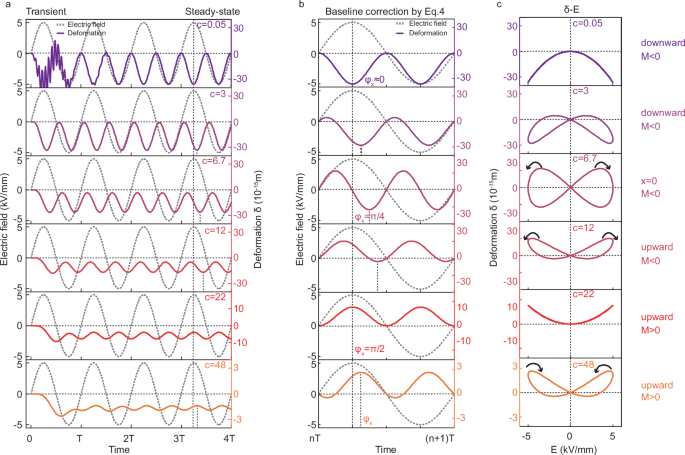 Fig. 2: Mathematical solutions of the anharmonic oscillator pair model.