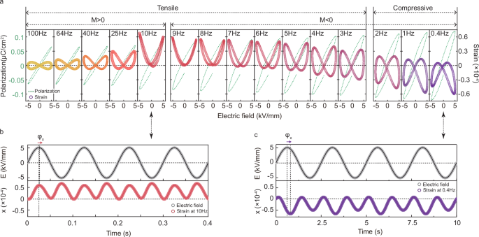 Fig. 3: Experimental electrostrictive response of La2Mo2O9 ceramics.