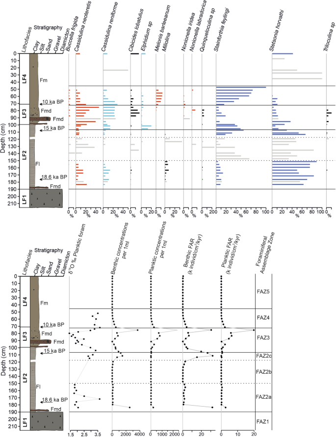 Fig. 4: Foraminiferal results for core 144GC.