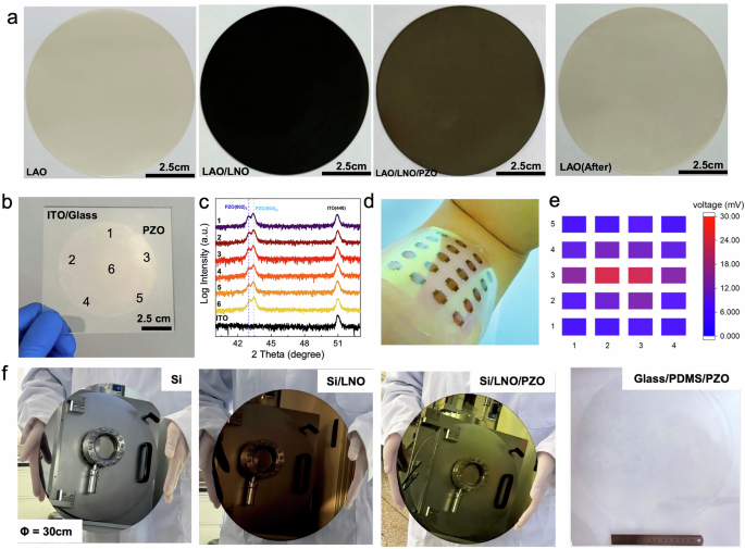 Fig. 5: Preparation of large-scale freestanding oxide films and devices.