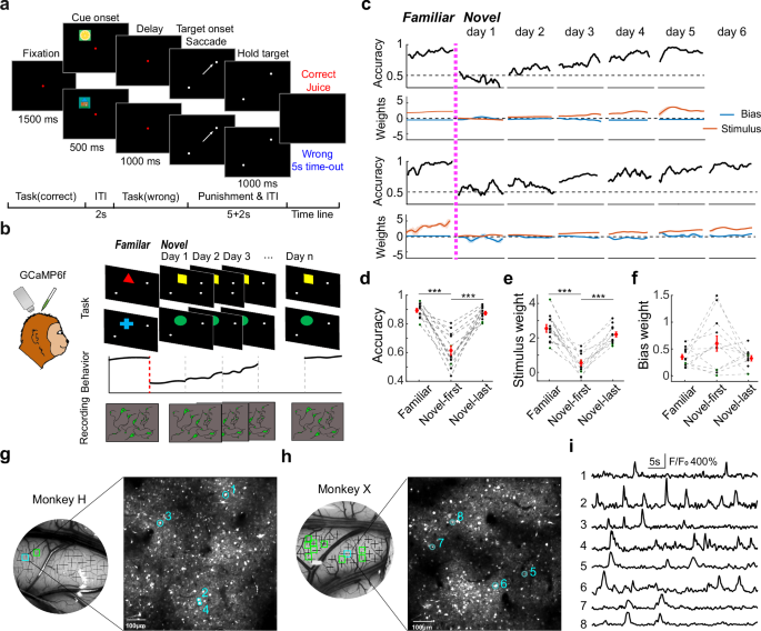 Fig. 1: Two-photon calcium imaging of macaque PPC during sensorimotor AL.