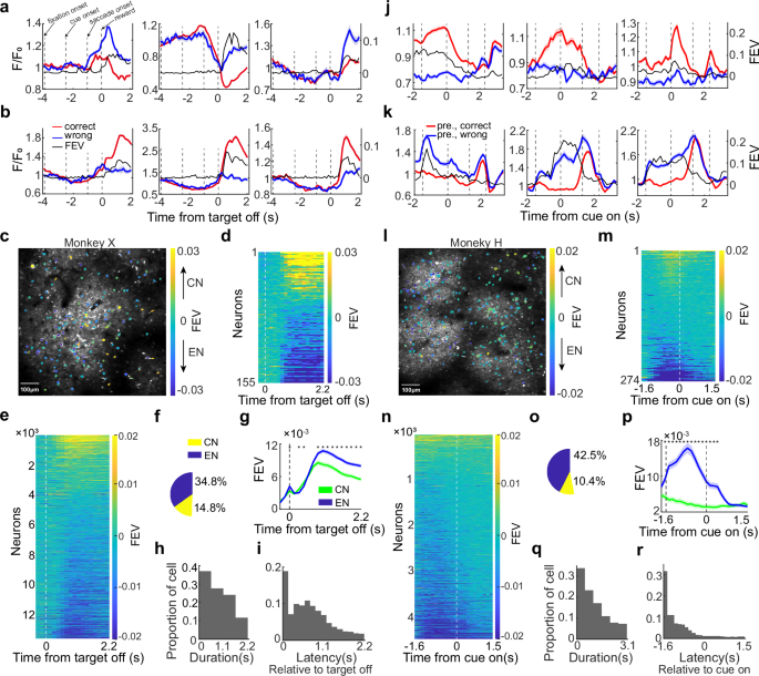 Fig. 2: 7a neural activity represents trial outcome during AL.
