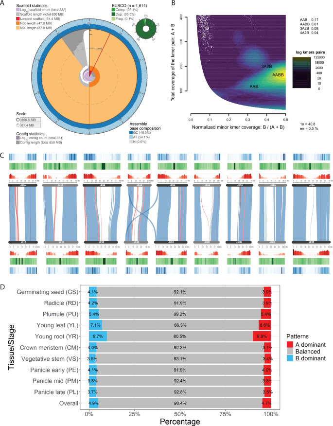 Fig. 2: Genomic features and structural insights into the little millet genome.