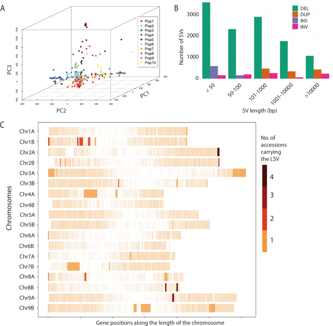Fig. 4: Genetic variation in the little millet diversity panel.