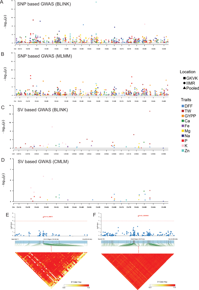 Fig. 6: Genome-wide association study of agronomic traits and seed micronutrient levels.
