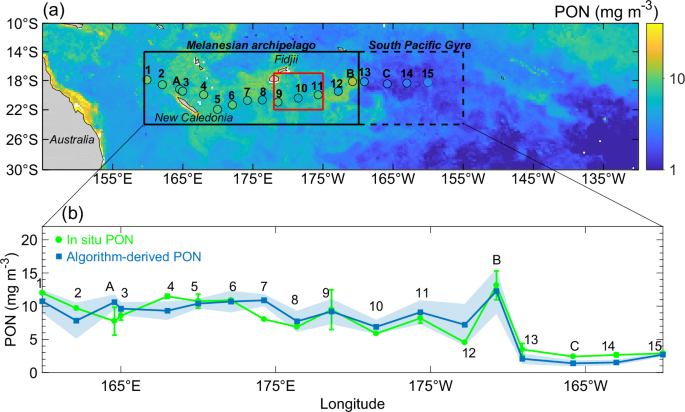 Fig. 1: Surface mass concentrations of particulate organic nitrogen (PON) in the tropical South Pacific in March 2015.