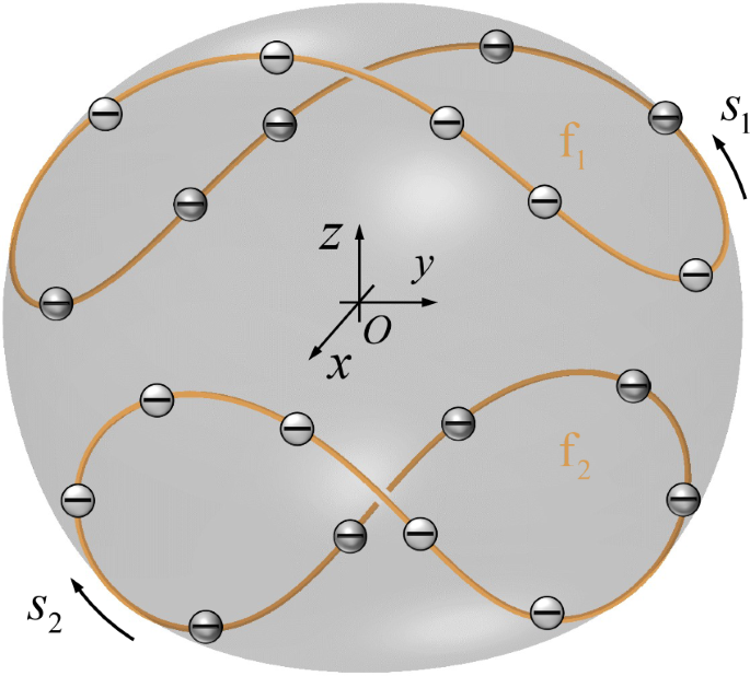 Fig. 1: Schematic of two charged filament loops confined within a vesicle of effective radius R.