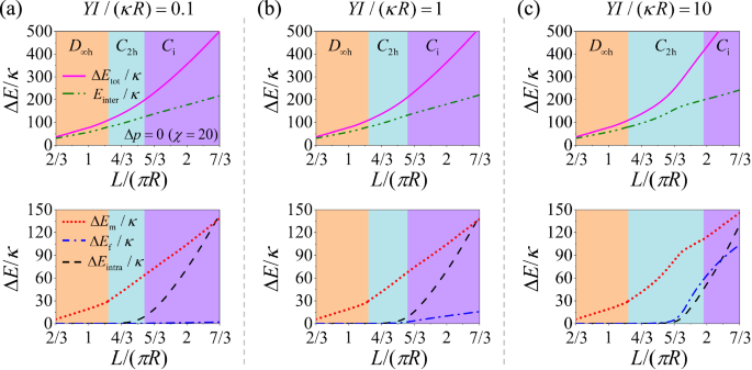 Fig. 3: System energy profiles at Δp&nbsp;=&nbsp;0&nbsp;and&nbsp;χ = 20.