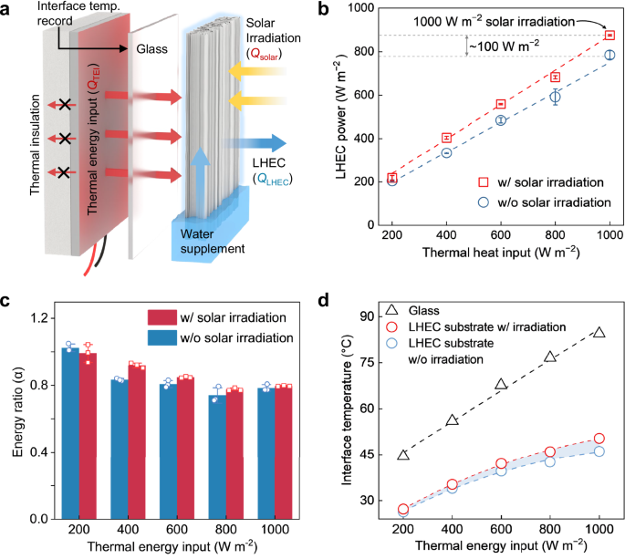Fig. 3: Performance evaluation of delignified wood as an LHEC substrate.