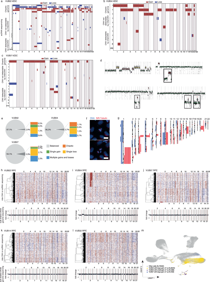 Fig. 2: Genetic variation in the undifferentiated hESC lines and their differentiated RPE cell progeny.