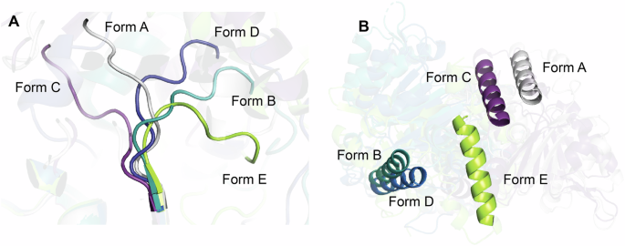 Fig. 10: Overlays of all known WRN conformations.