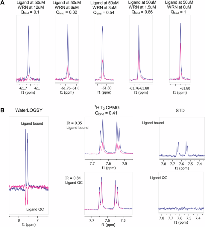 Fig. 1: NMR data for fragment 1 used in the prioritization for X-ray crystallography.