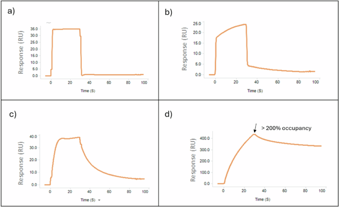 Fig. 2: Prioritization of SPR fragment screening hits based on binding profile.