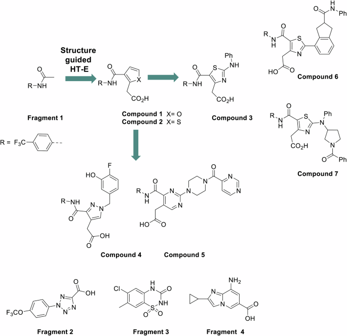 Fig. 3: Pathway of fragment-to-lead discovery and development.